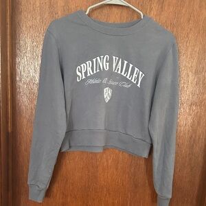 Hollister Gray Spring Valley Sweatshirt